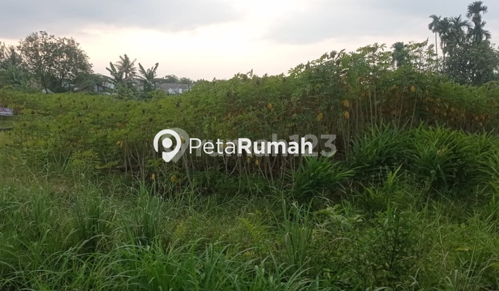 FOR SALE LAND ON FLAMBOYAN RAYA STREET, SETIA BUDI LANE
