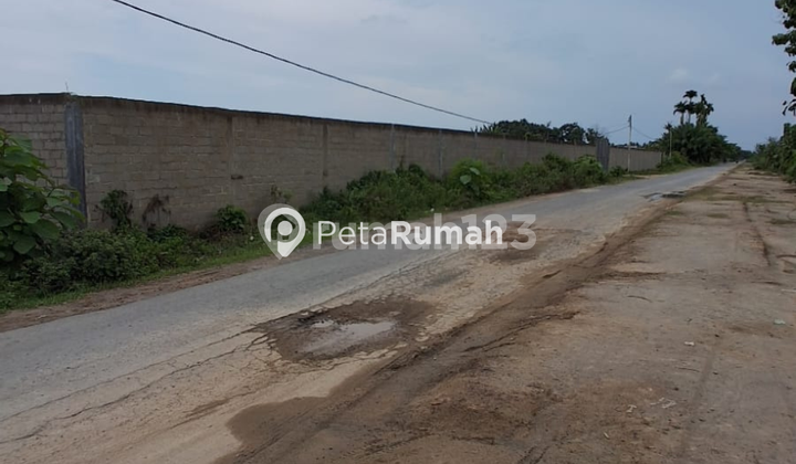 DIJUAL TANAH JALAN DUSUN VI PERCUT SEI TUAN BATANG KUIS DIJUAL TANAH JALAN DUSUN VI PERCUT SEI TUAN BATANG KUIS