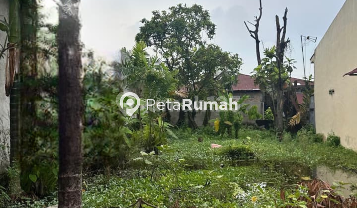 FOR SALE LAND ON KIWI STREET ALLEY 3