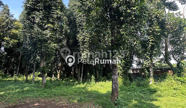 DIJUAL TANAH JALAN SUKA CERDAS DIJUAL TANAH JALAN SUKA CERDAS