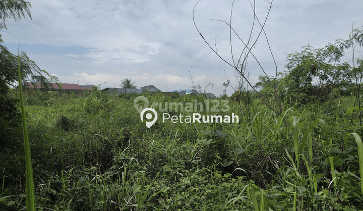 DIJUAL TANAH JALAN NGUMBAN SURBAKTI