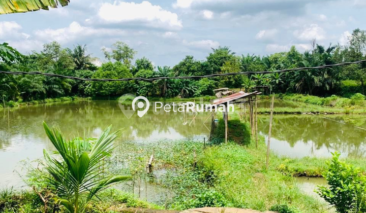 DIJUAL TANAH JALAN PERTAHANAN GANG BENGKEL DIJUAL TANAH JALAN PERTAHANAN GANG BENGKEL