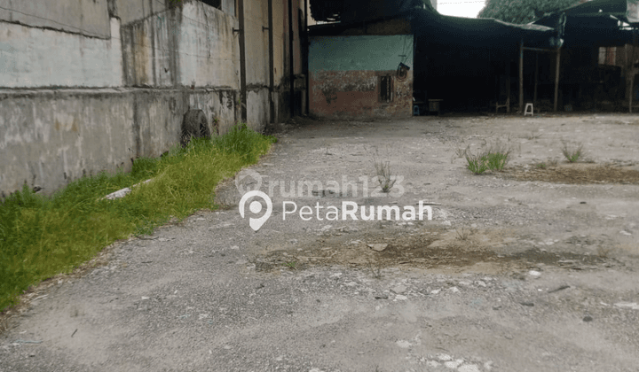 DISEWA TANAH JALAN CEMARA 2