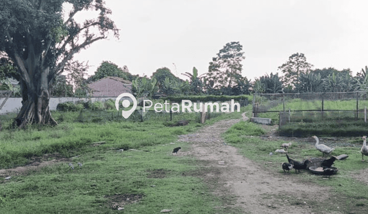 Dijual Tanah Jalan Bunga Raya Medan Selayang