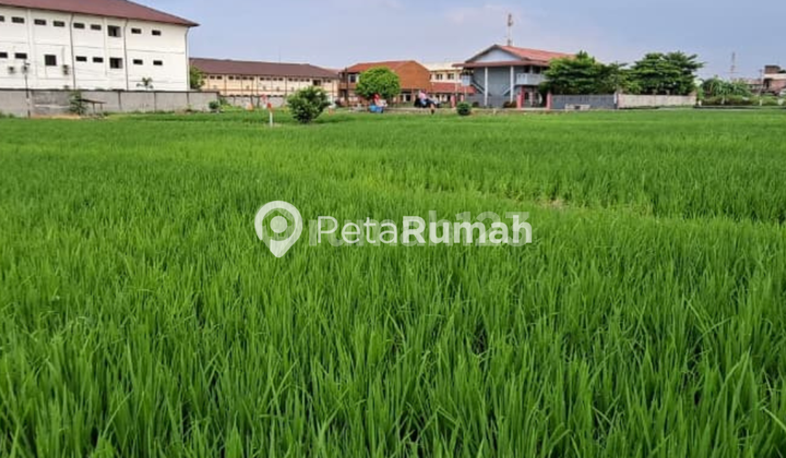 DIJUAL TANAH JALAN IKAHI II - PADANG BULAN SELAYANG