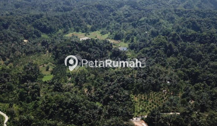 DIJUAL TANAH JALAN SEMBAHE - NAMORAMBE 2