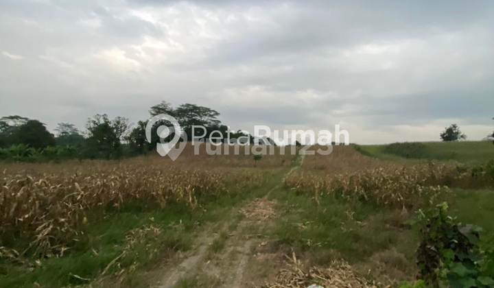 Dijual Tanah Jalan Bunga Pariama I Medan Tuntungan