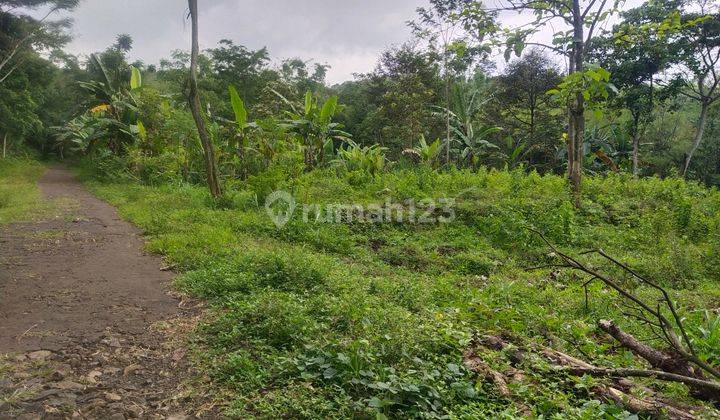 Tanah siap bangun luas Tanah di Sidodadi hectare SHM 42 1