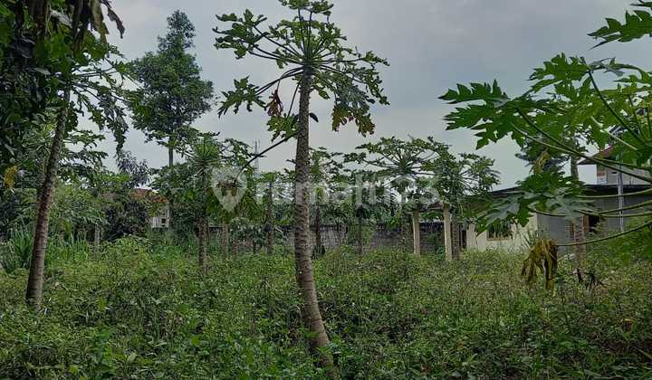 Jual Tanah Di.cianjur 1