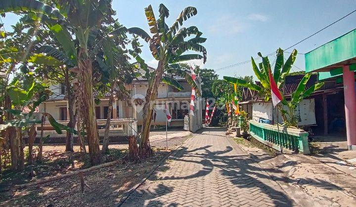 Rumah Purwodadi Grobogan siap huni 13