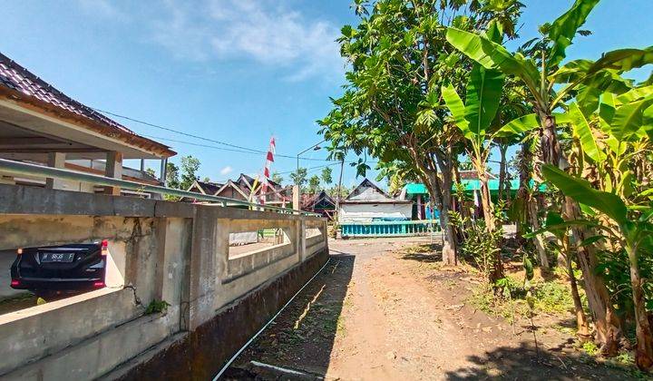 Rumah Purwodadi Grobogan siap huni 14