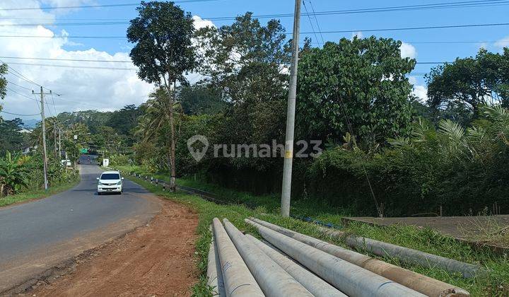 Tanah Pringsurat Kabupaten Temanggung 7