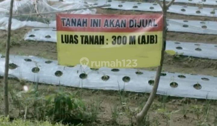 DIJUAL TANAH DI PANGALENGAN BANDUNG  1