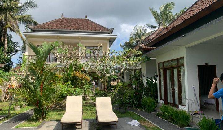 FOR RENT Twin Villa + Apartemen 8BR at Ubud 4