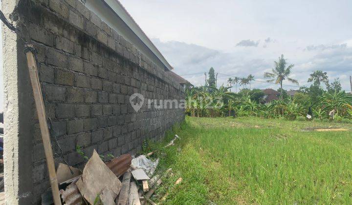 For Rent New Villa 2BR Furnished at Canggu  10