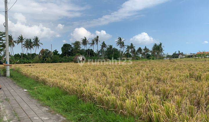 For Rent New Villa 2BR at Seseh beach  west Canggu 10