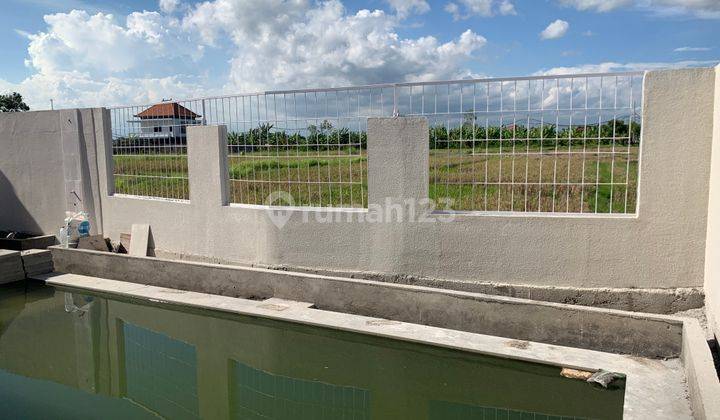 For Rent New Villa 2BR Rice Fiel View at Cemagi canggu 7