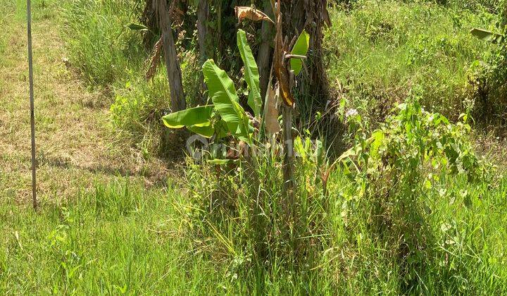 Leasehold Land Prime Location At Jl. Batu Beliq , Seminyak SHM - Sertifikat Hak Milik 2