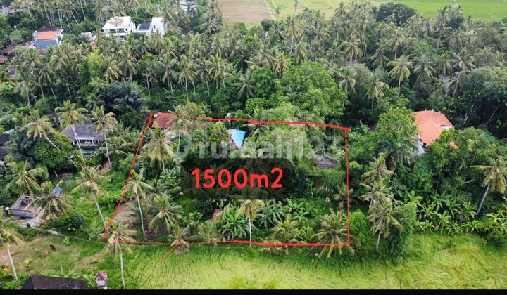For Sale Land with Building Bonus Ubud For Sale Land with Building Bonus Ubud