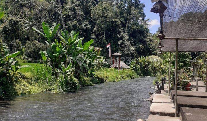 Tanah karangasem los Sungai View Gunung Sawah 1