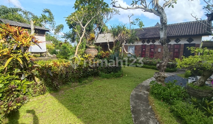 Land and Building For Sale, Spacious Yard Land and Building For Sale, Spacious Yard