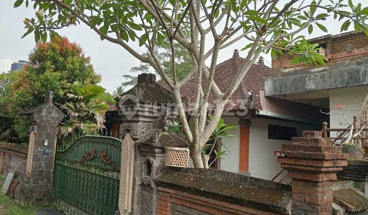 Di Jual Tanah Bonus Rumah Petulu Ubud-tirtatawar Di Jual Tanah Bonus Rumah Petulu Ubud-tirtatawar