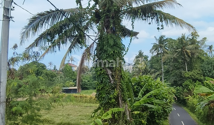 Di Jual Rumah Semi Villa Full View Sawah 2