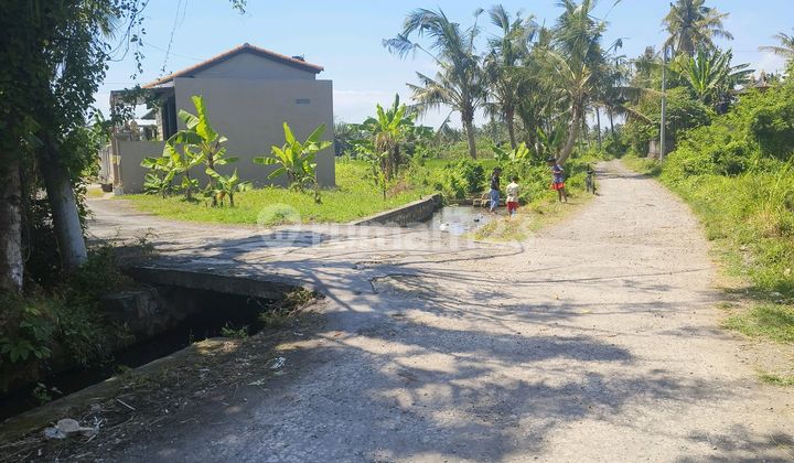 Di Jual Tanah Blabatuh Dekat Kemenuh Dan Ubud Di Jual Tanah Blabatuh Dekat Kemenuh Dan Ubud