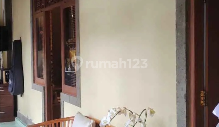 For Sale: Mas Ubud Gallery, Asphalt Roadside 2