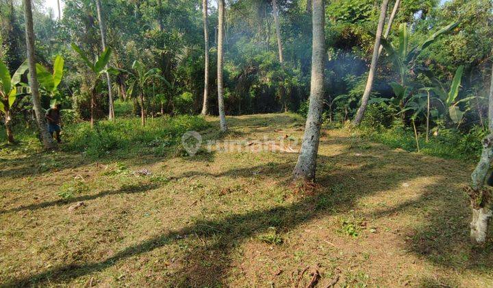 Tanah murah dekat gua Gajah Dan ubud 1