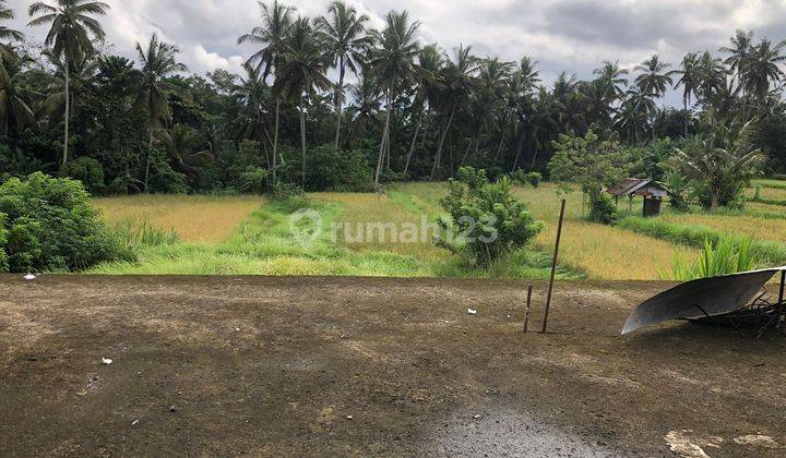 For sale Pejeng house with spacious garden and rice field view 2