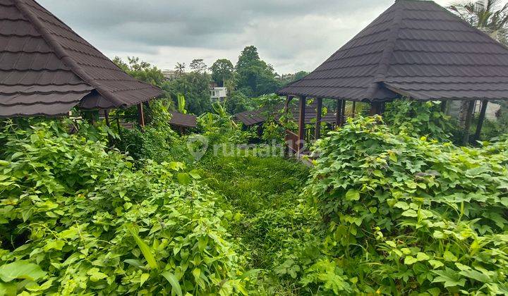 Di Jual Tanah Ada Bangunan Lodtudnuh Ubud 2