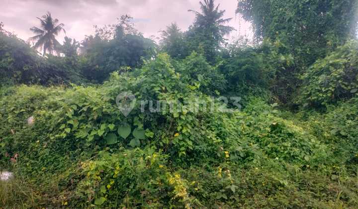 Di Jual Tanah Blahbatuh Area Sdh Banyak Villa