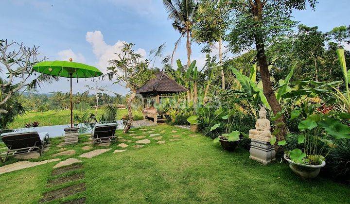 Di  villa view sawah 1