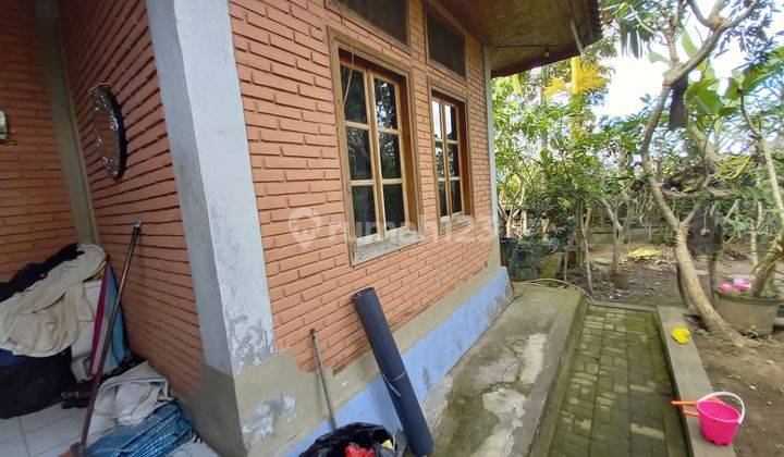 DIJUAL RUMAH PEJENG_UBUD pinggir jalan Aspal jalur Turis cocok untuk usaha 1