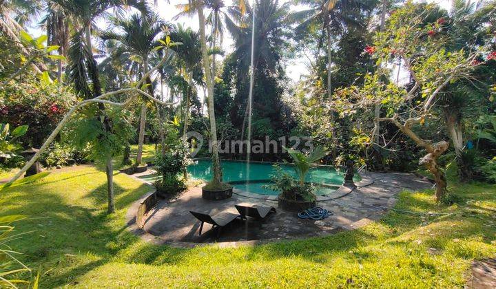 Villa view jungle ubud 1