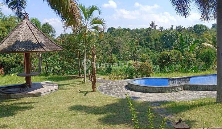 Di jual Villa lantai 1 halaman luas view sawah 1