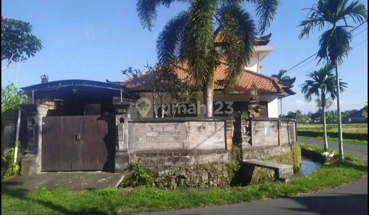 Ubud House for Sale/Rent 1