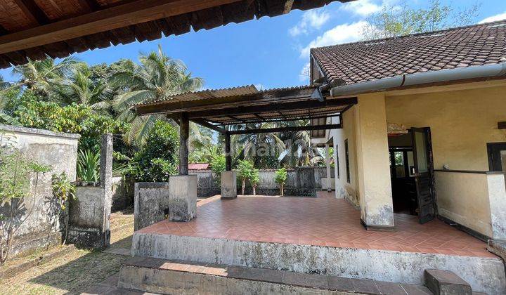 For sale, a large courtyard house in Ubud, Pejeng 2