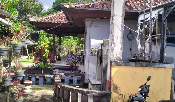 Ubud ethnic house for sale 2
