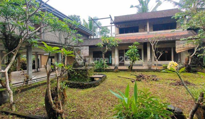 Gueshouse for sale butuh renovasi ubud radius 1