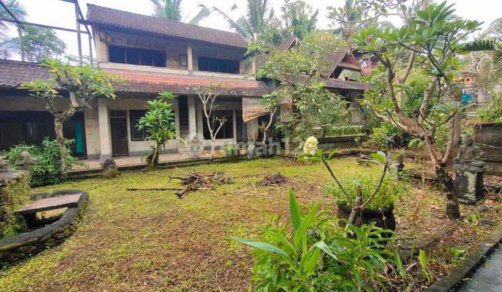 Gueshouse for sale butuh renovasi ubud radius 2