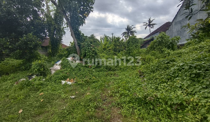 Land for Sale, Suitable for Villas or Warehouses