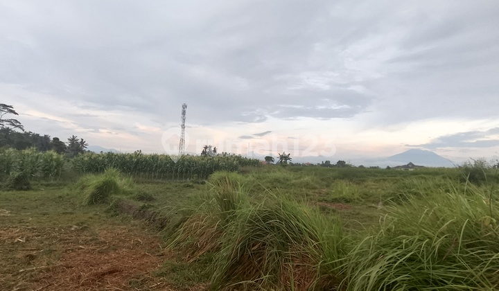 For Sale Good Land for Villa with Eternal Rice Field View