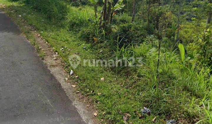 For Sale Land in Pupuan Tegalalang, Nice View