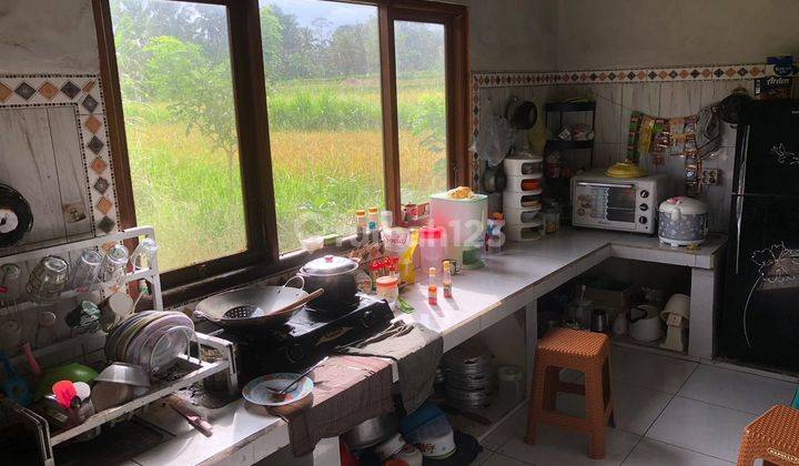 For sale Pejeng house with spacious garden and rice field view 1