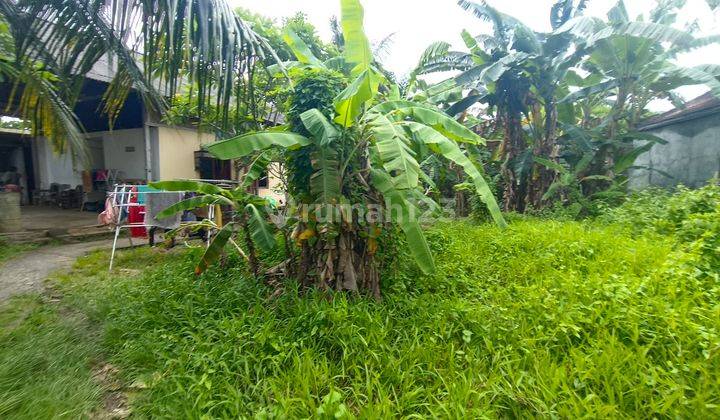 Di Jual Tanah Mas Ubud 2