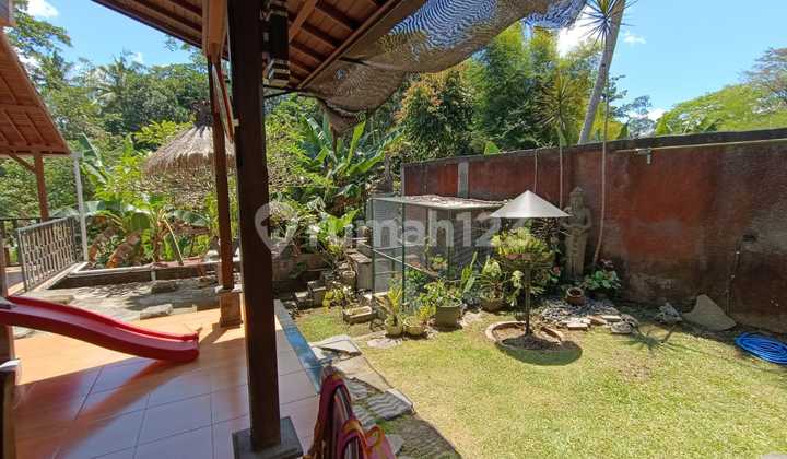 Di Jual Rumah Semi Villa View Jungle 2