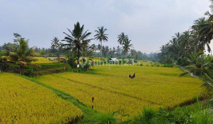 Di Jual Tanah Suasana Pedesaan Sejuk Dan Asri 1