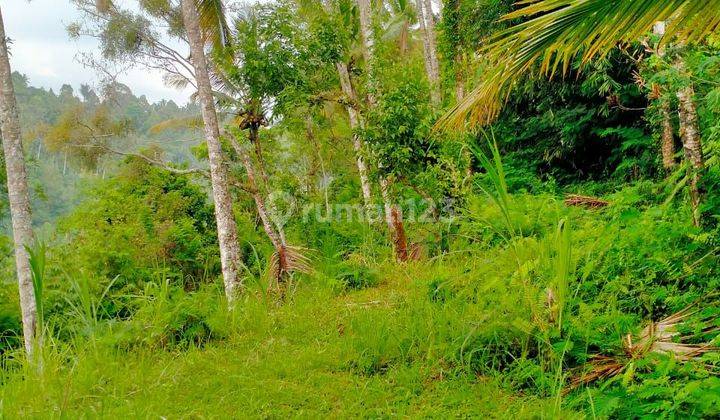 Tanah murah dekat gua Gajah Dan ubud 2